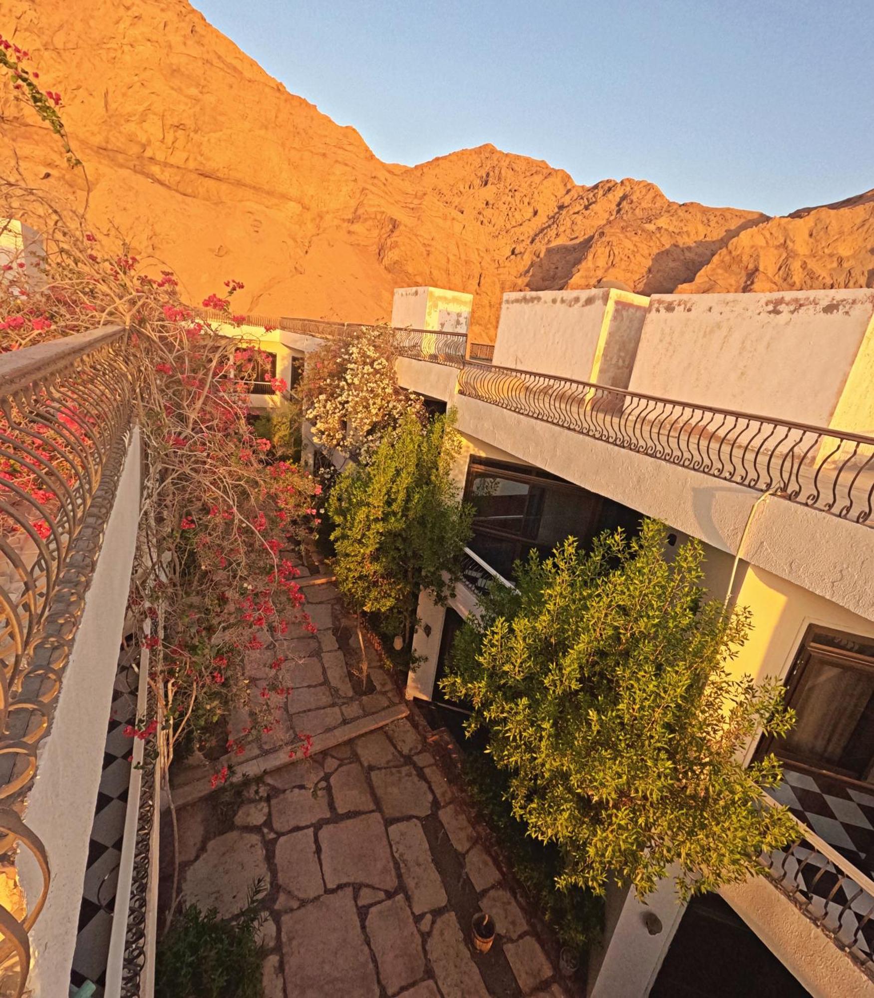 Dahab Bay Hotel מראה חיצוני תמונה