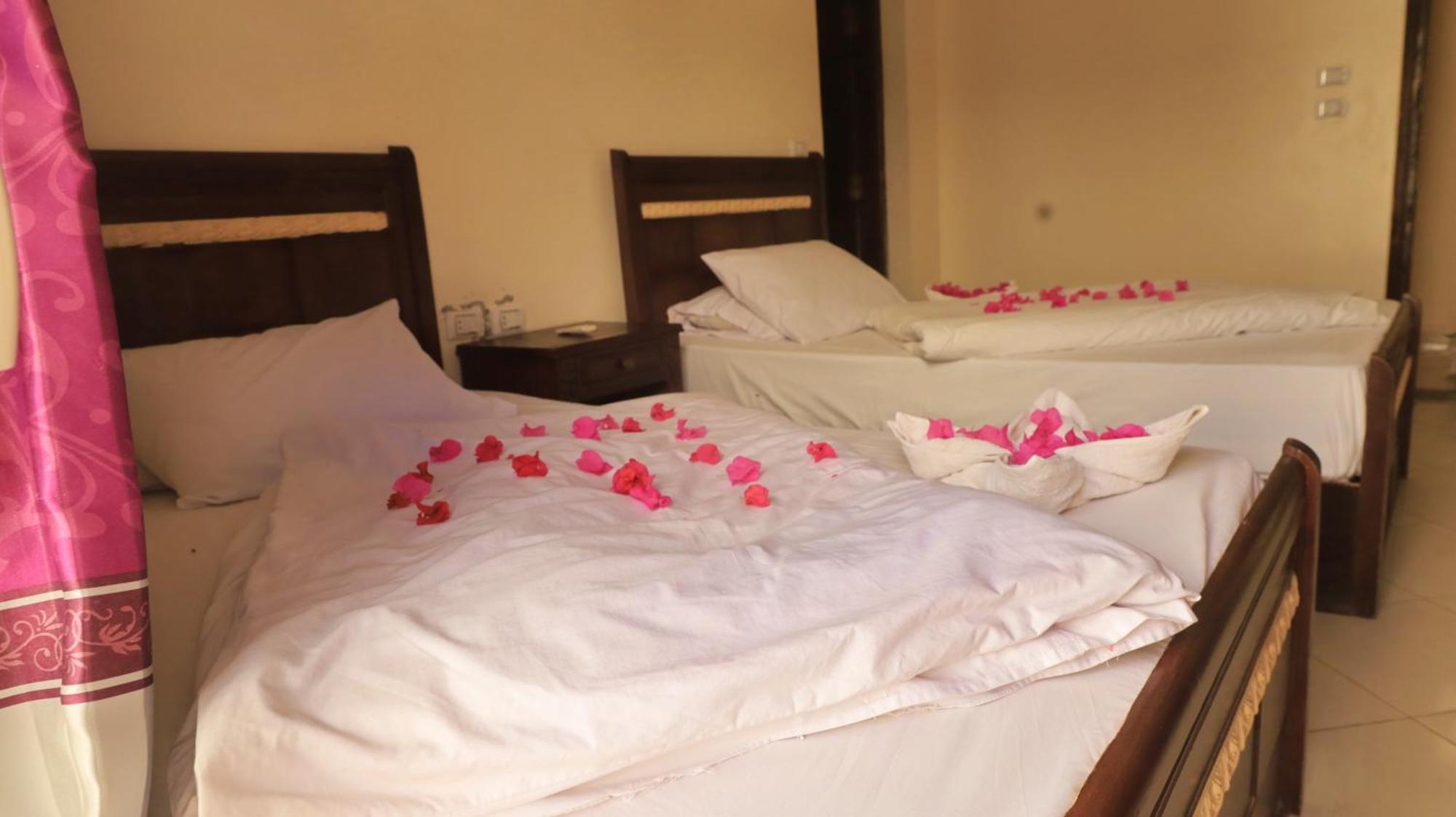 Dahab Bay Hotel חדר תמונה